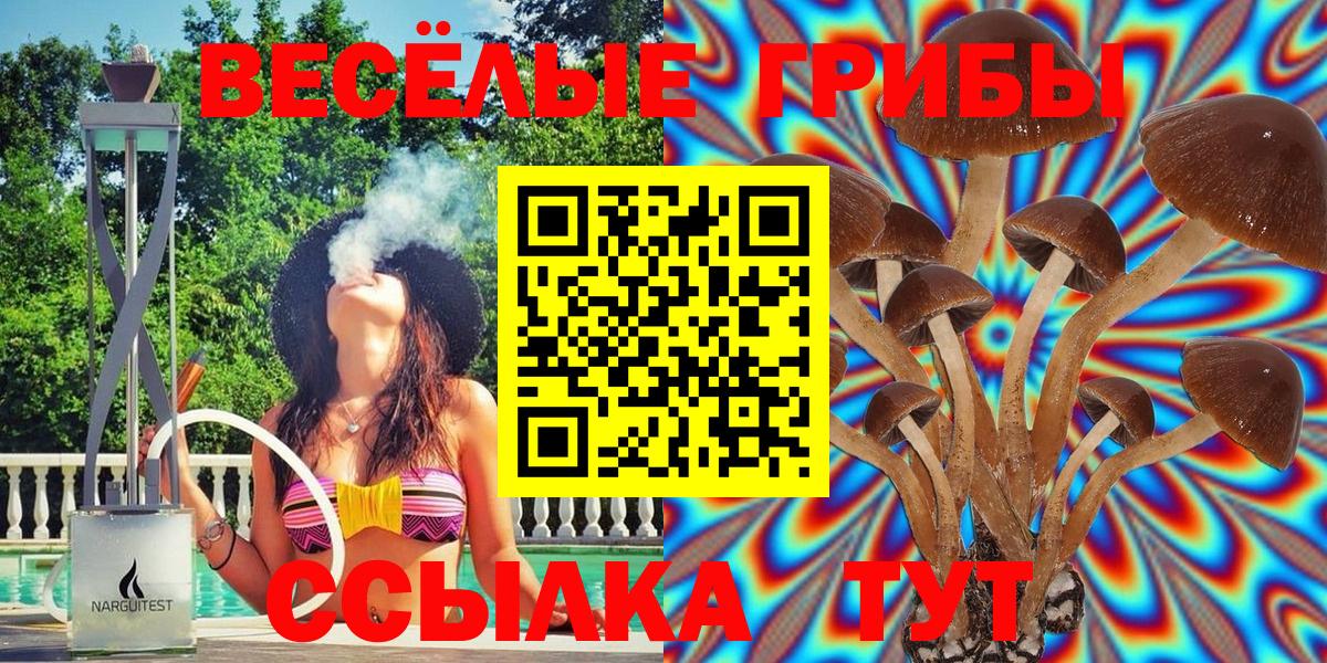 Псилоцибиновые грибы MAGIC MUSHROOMS Дубна