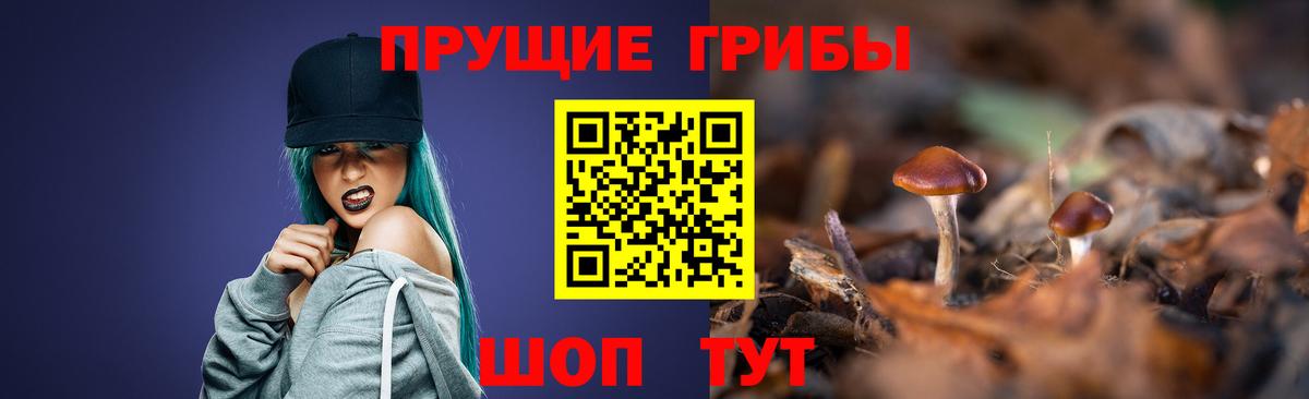 Псилоцибиновые грибы GOLDEN TEACHER  Вход с VPN  Дубна 