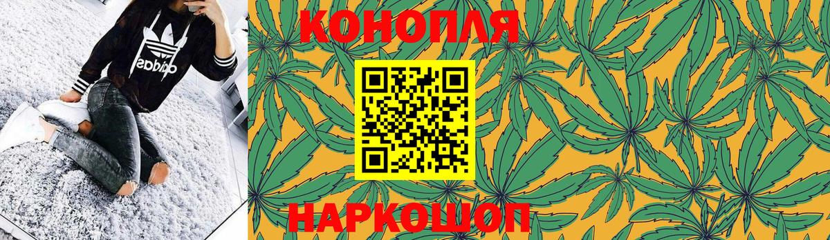 Канабис ГИДРОПОН Дубна